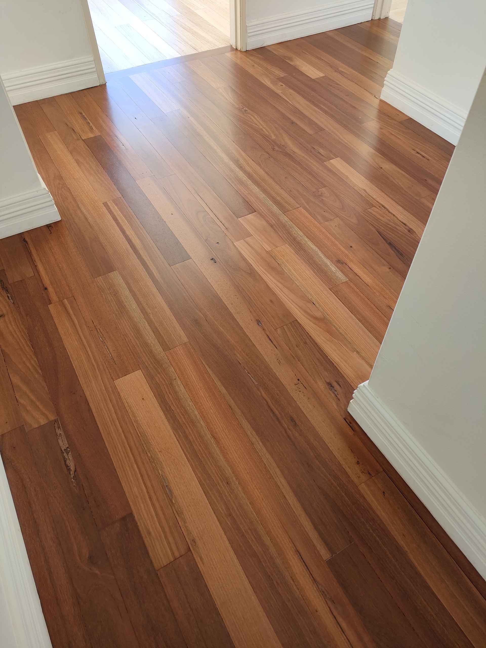 Marri Sand & Water-Based Satin — Joondana — Joondana